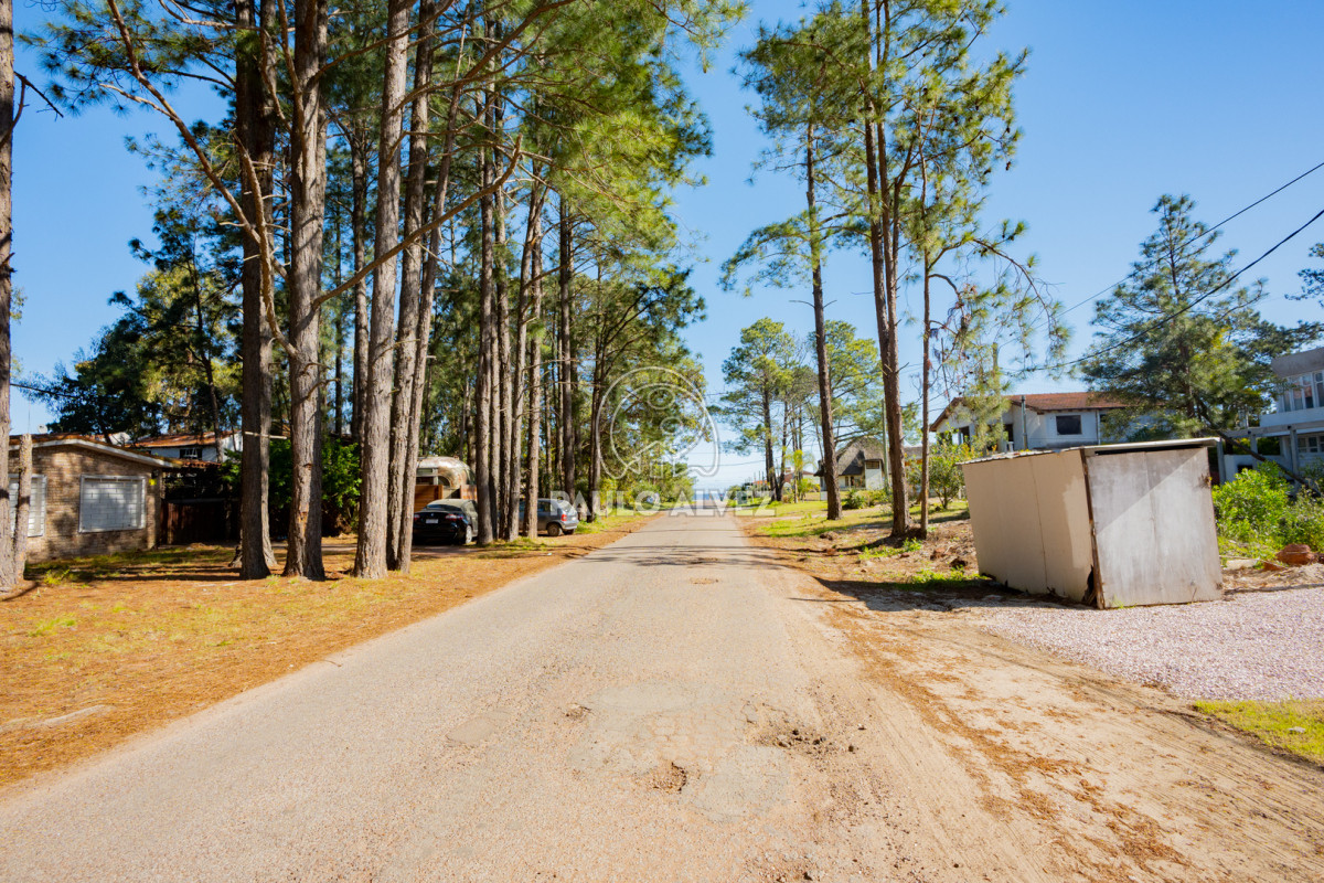 Portales - GoPunta - Portal Inmobiliario de Punta del Este - Maldonado