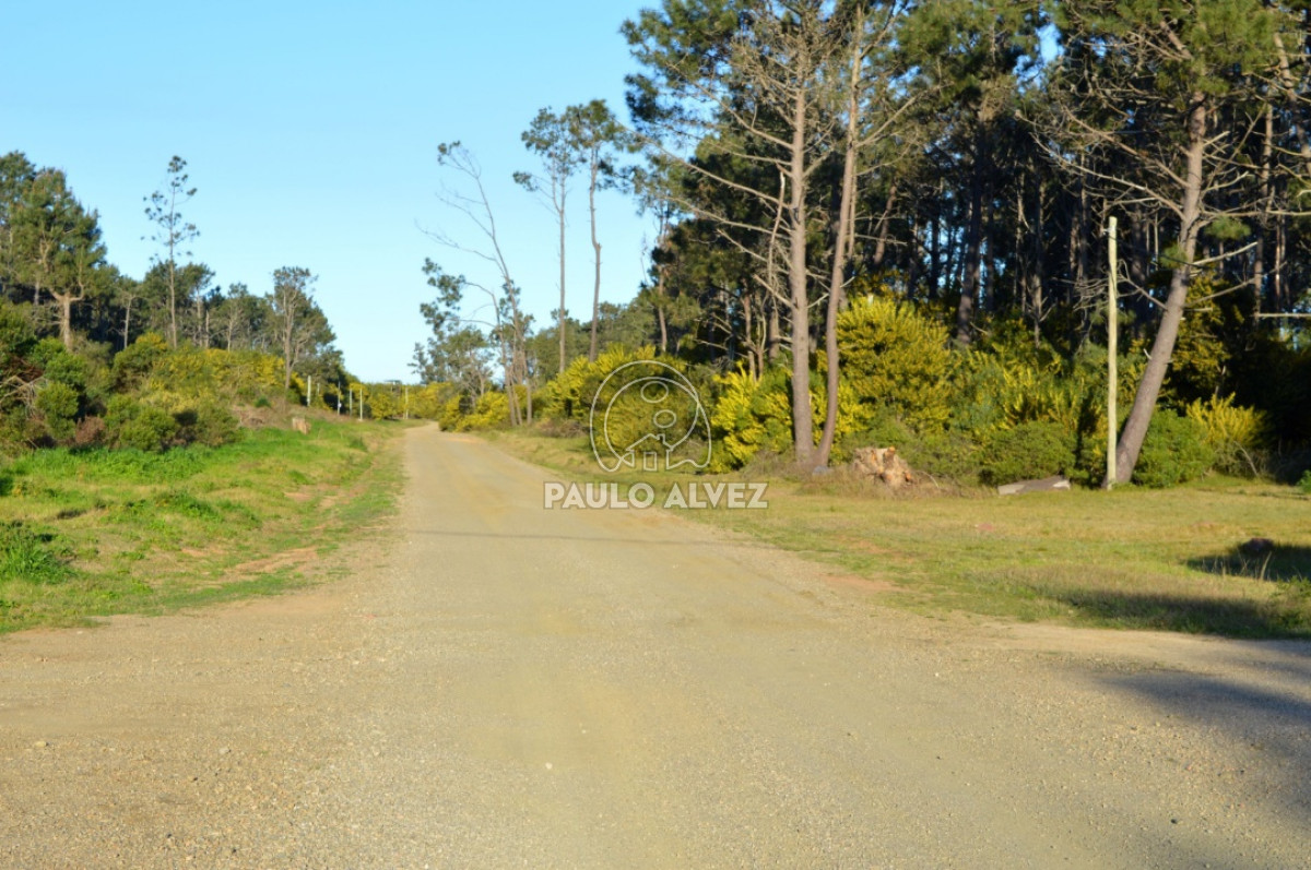Punta Colorada - GoPunta - Portal Inmobiliario de Punta del Este - Maldonado