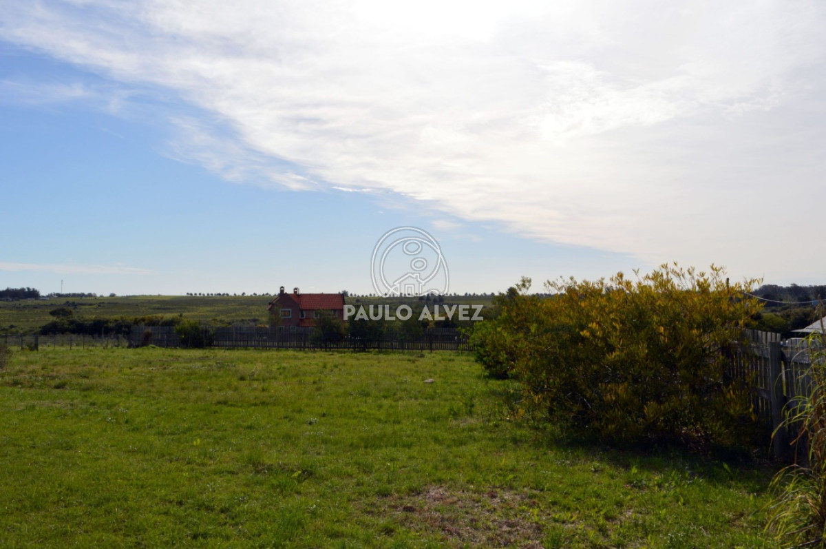 Las Flores - GoPunta - Portal Inmobiliario de Punta del Este - Maldonado