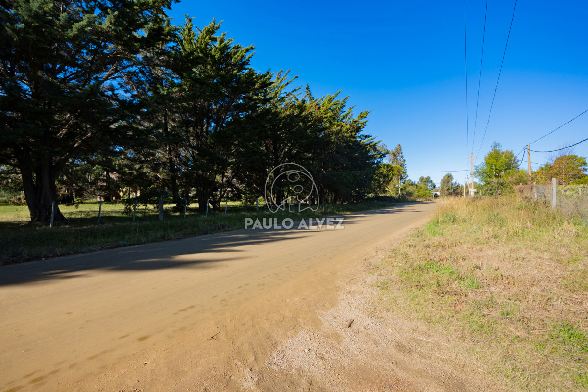 Playa Grande - GoPunta - Portal Inmobiliario de Punta del Este - Maldonado