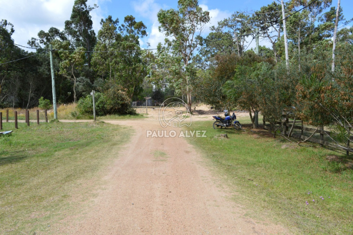 Punta Colorada - GoPunta - Portal Inmobiliario de Punta del Este - Maldonado