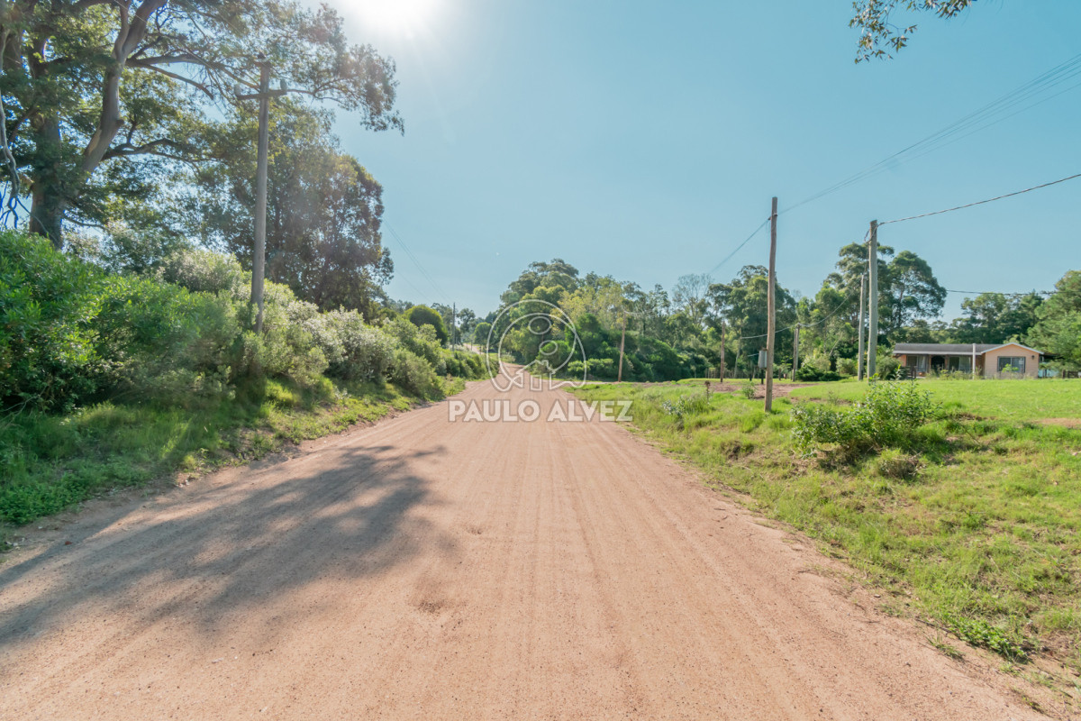 Punta Colorada - GoPunta - Portal Inmobiliario de Punta del Este - Maldonado