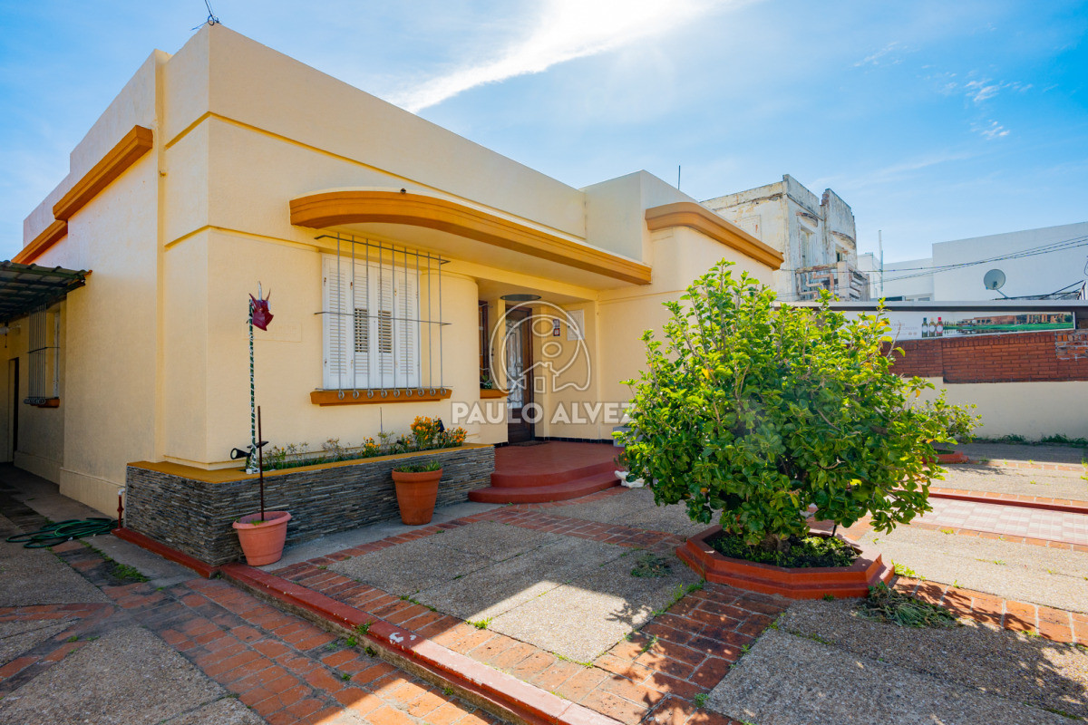 Centro - GoPunta - Portal Inmobiliario de Punta del Este - Maldonado