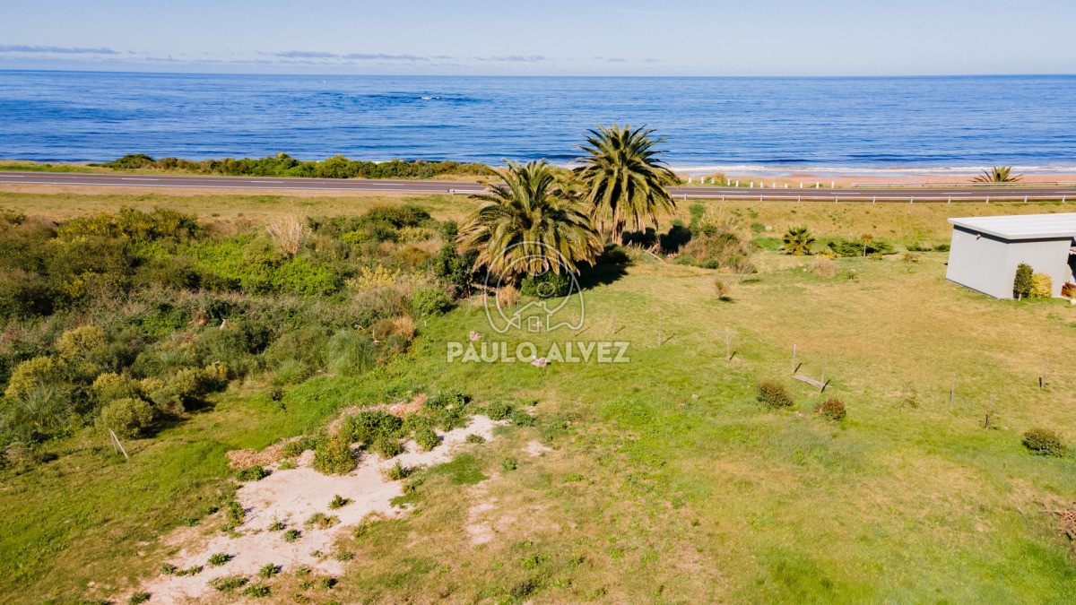 Bella Vista - GoPunta - Portal Inmobiliario de Punta del Este - Maldonado