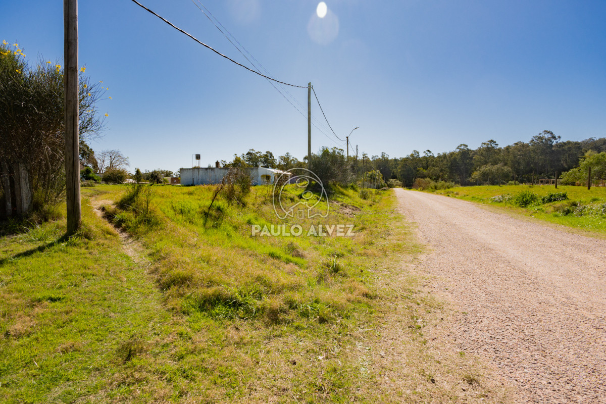 Las Flores - GoPunta - Portal Inmobiliario de Punta del Este - Maldonado