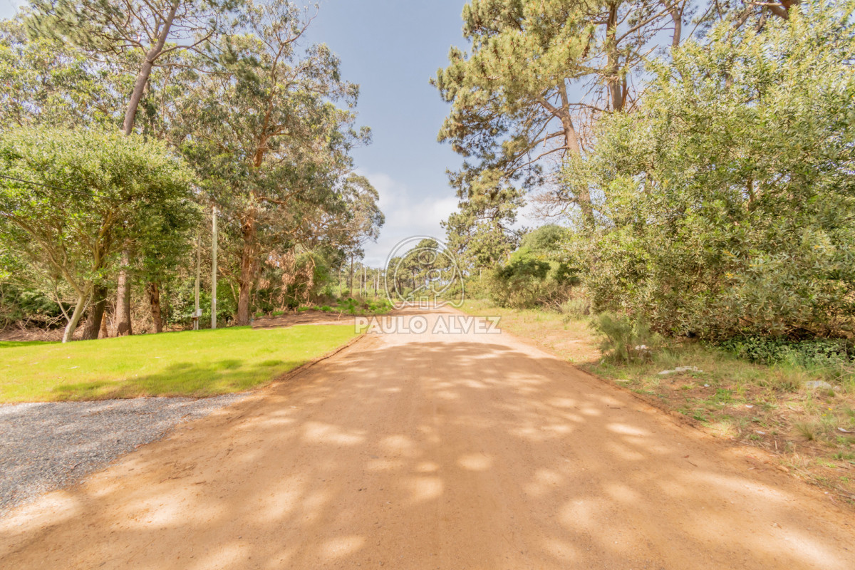 Punta Colorada - GoPunta - Portal Inmobiliario de Punta del Este - Maldonado