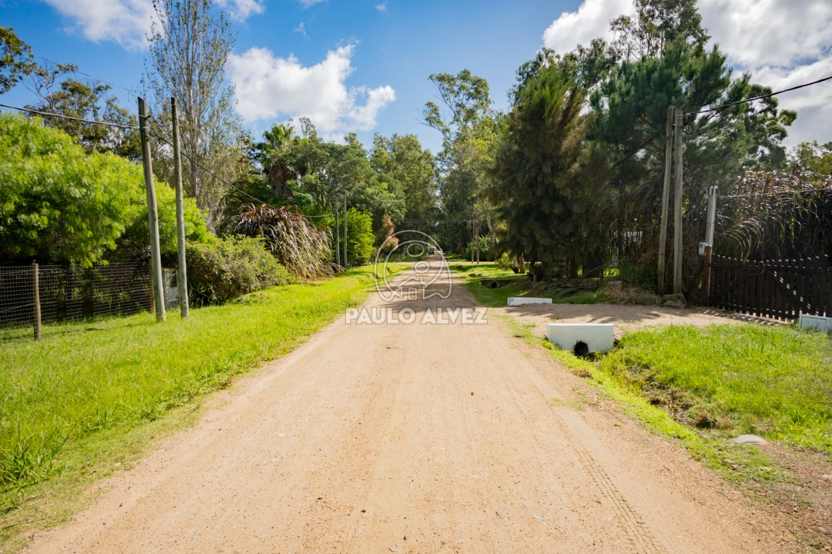 Bella Vista - GoPunta - Portal Inmobiliario de Punta del Este - Maldonado