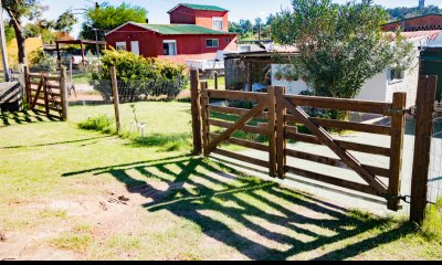 Mane l - ll --Dos casas en el mismo padrón .