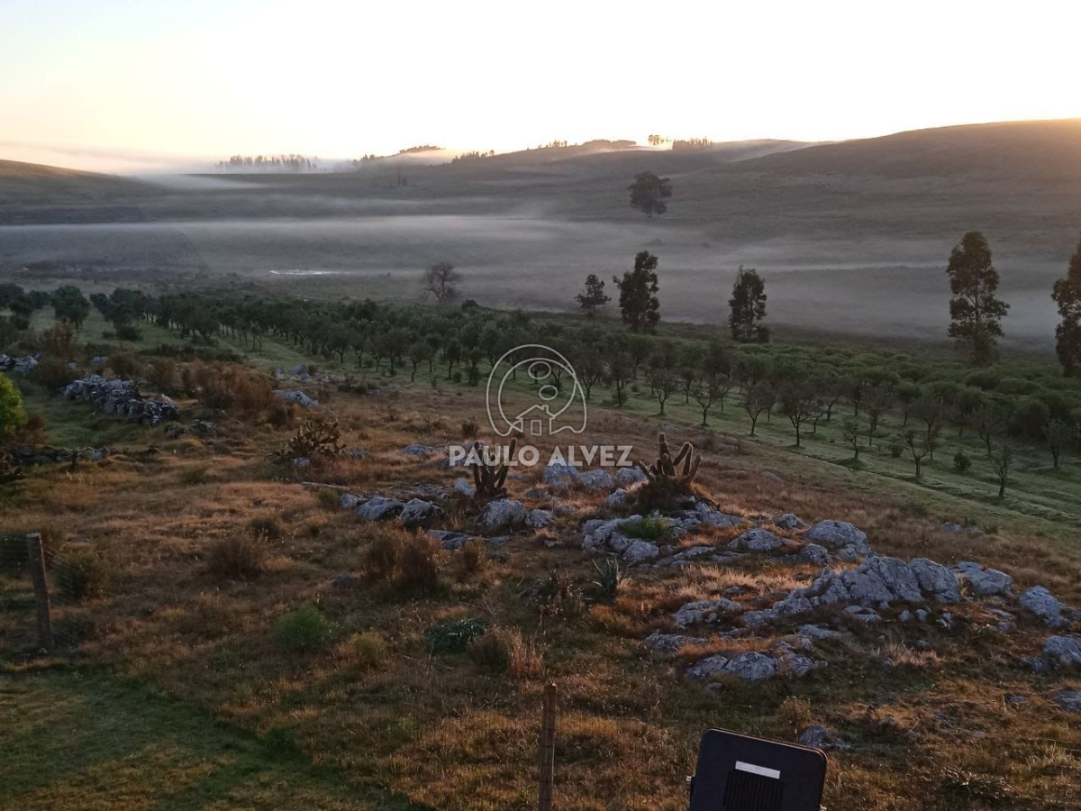 Rodeada de naturaleza