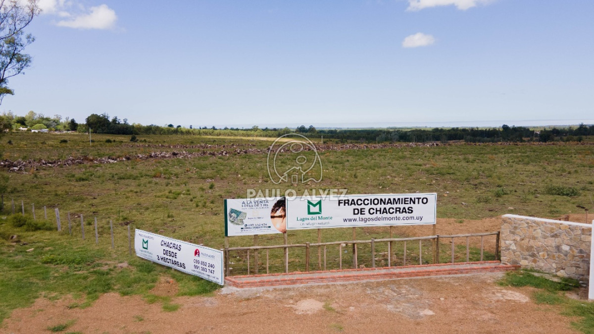 Capilla de Cella - GoPunta - Portal Inmobiliario de Punta del Este - Maldonado