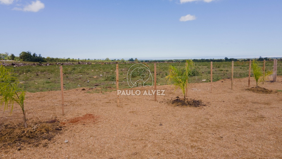 Capilla de Cella - GoPunta - Portal Inmobiliario de Punta del Este - Maldonado
