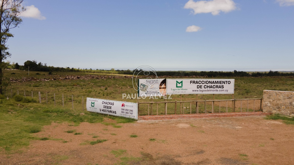 Capilla de Cella - GoPunta - Portal Inmobiliario de Punta del Este - Maldonado