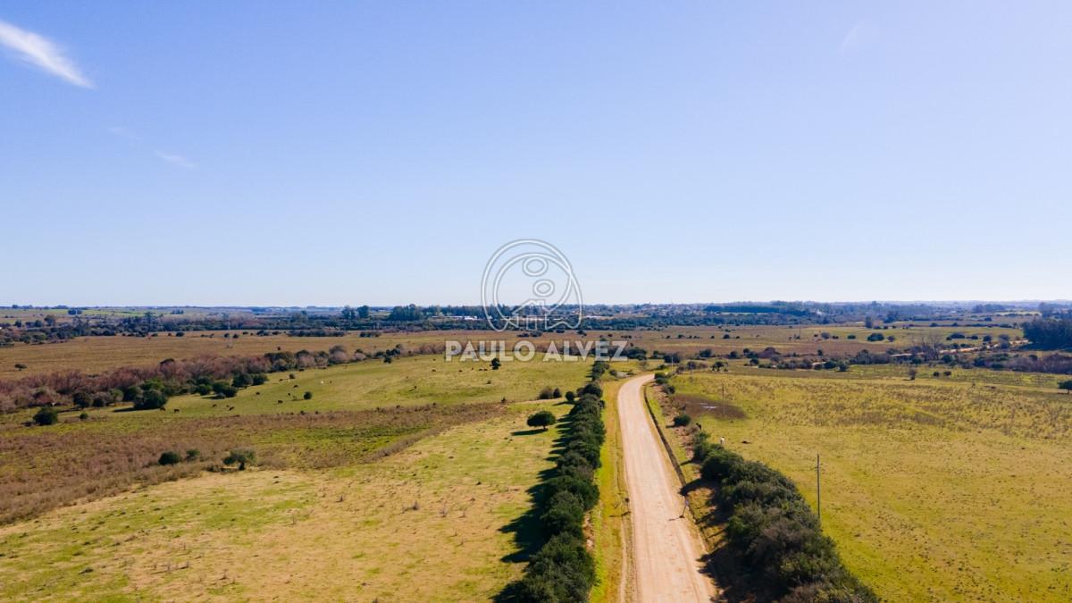 Zona Rural - GoPunta - Portal Inmobiliario de Punta del Este - Maldonado