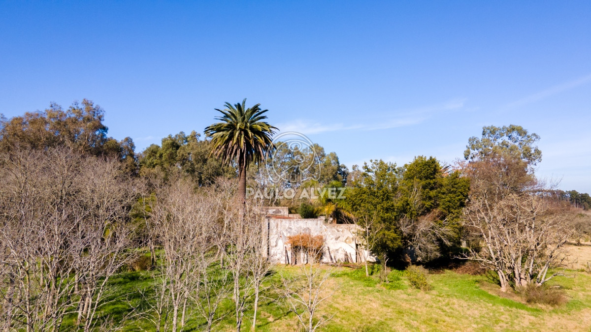 Zona Rural - GoPunta - Portal Inmobiliario de Punta del Este - Maldonado
