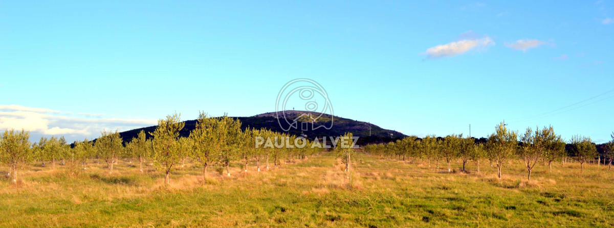 Cerro Pan de Azucar - GoPunta - Portal Inmobiliario de Punta del Este - Maldonado