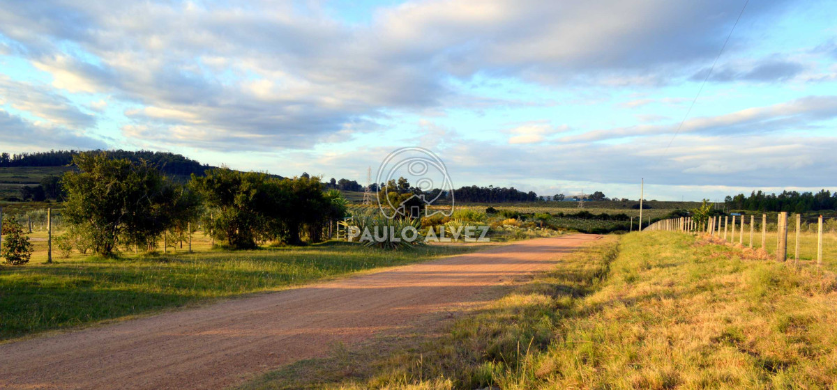 Cerro Pan de Azucar - GoPunta - Portal Inmobiliario de Punta del Este - Maldonado