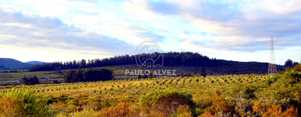 Cerro Pan de Azucar - GoPunta - Portal Inmobiliario de Punta del Este - Maldonado