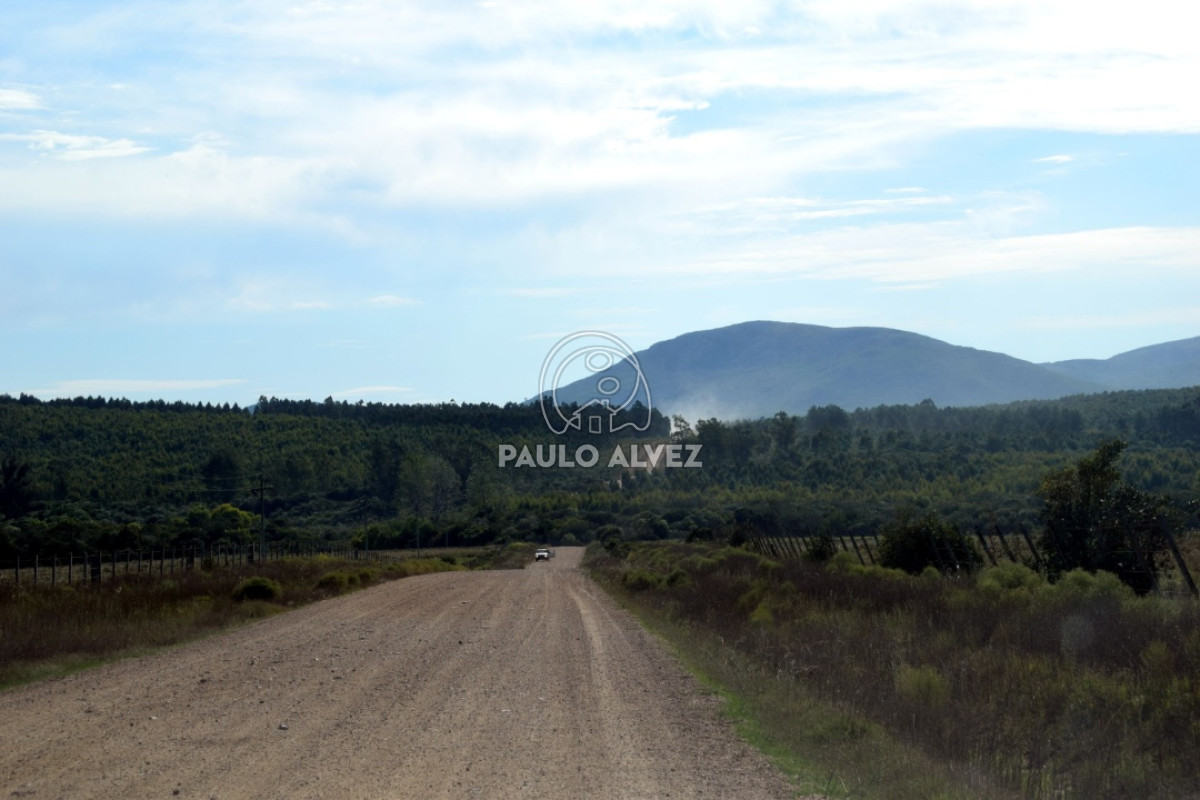 Cerros Azules - GoPunta - Portal Inmobiliario de Punta del Este - Maldonado
