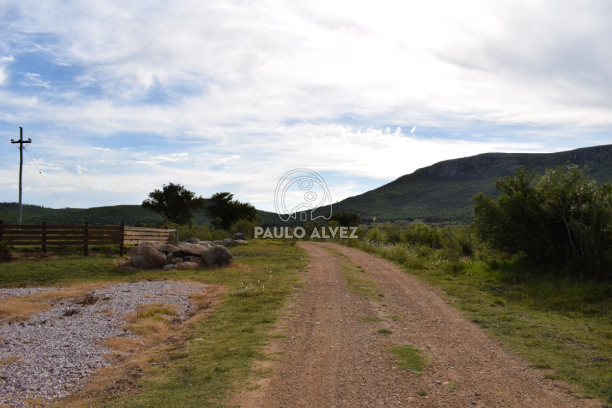 Cerros Azules - GoPunta - Portal Inmobiliario de Punta del Este - Maldonado
