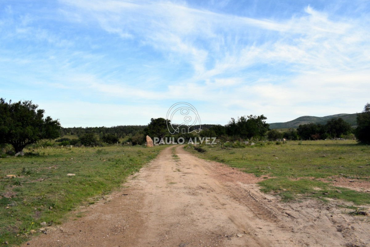Cerros Azules - GoPunta - Portal Inmobiliario de Punta del Este - Maldonado