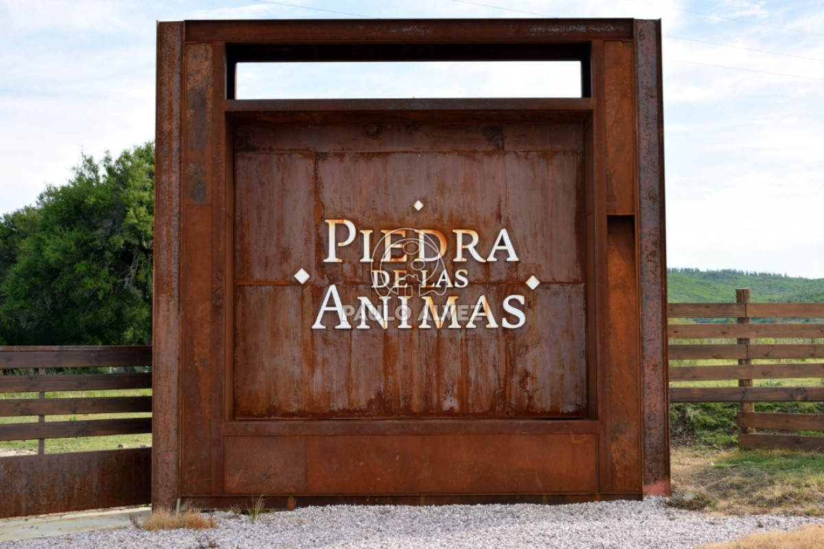 Cerros Azules - GoPunta - Portal Inmobiliario de Punta del Este - Maldonado