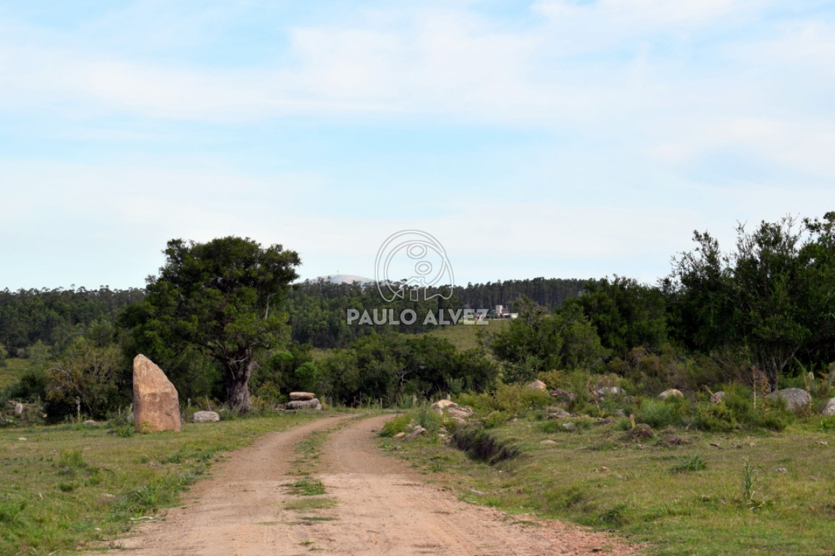 Chacra con vista a las sierras, rodeado de maravillosa naturaleza y tranquilidad. 