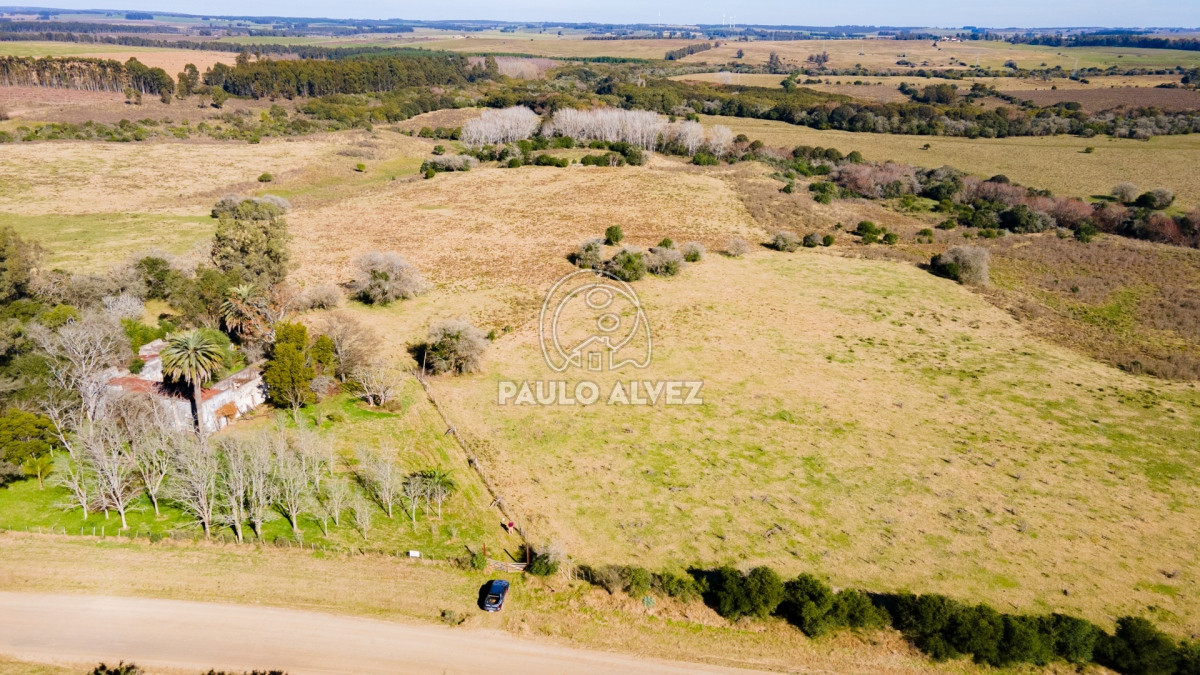 Zona Rural - GoPunta - Portal Inmobiliario de Punta del Este - Maldonado