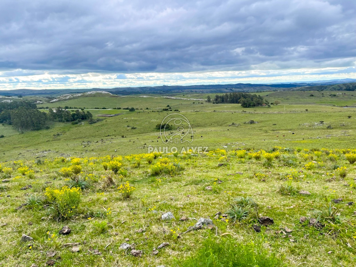 Zona Rural - GoPunta - Portal Inmobiliario de Punta del Este - Maldonado