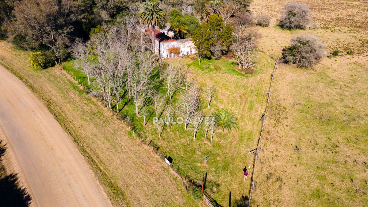 Zona Rural - GoPunta - Portal Inmobiliario de Punta del Este - Maldonado