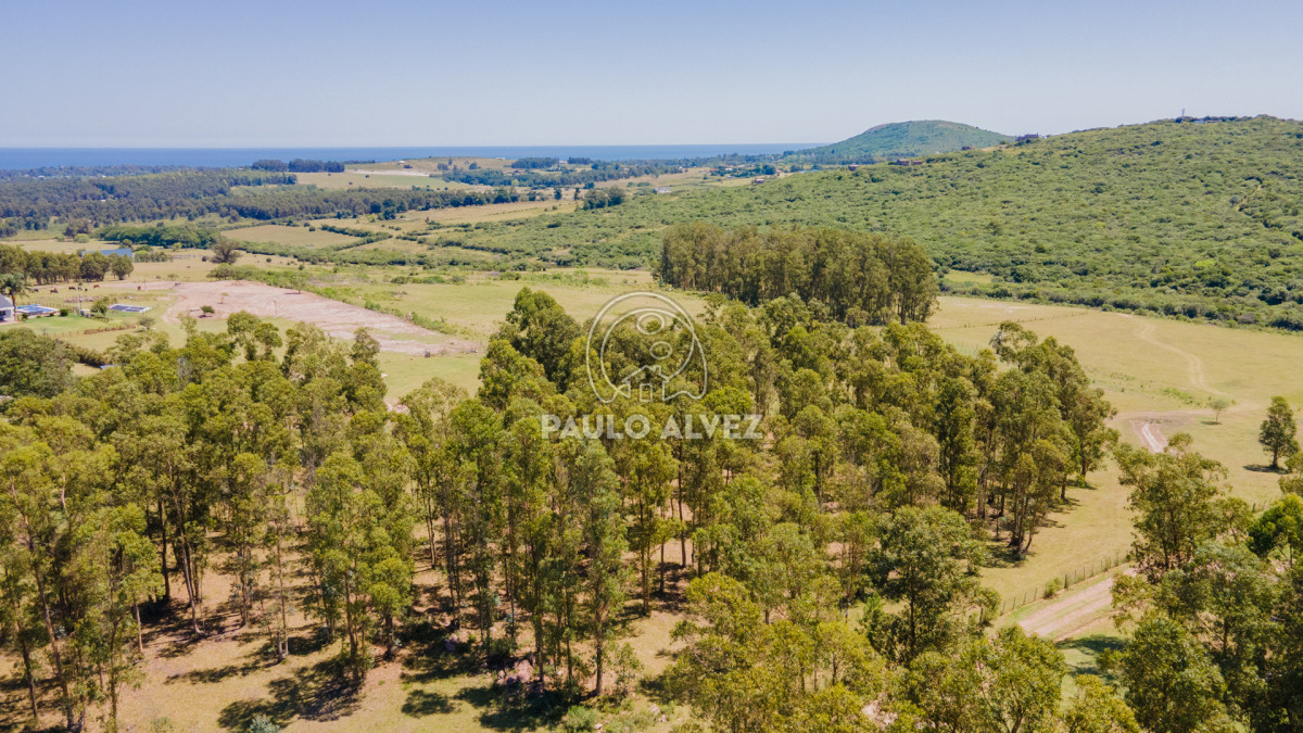 Piriápolis - GoPunta - Portal Inmobiliario de Punta del Este - Maldonado