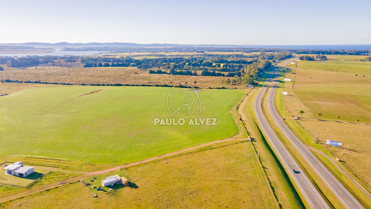 Ruta - GoPunta - Portal Inmobiliario de Punta del Este - Maldonado