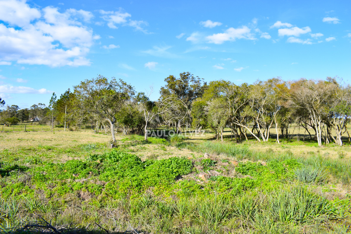 Zona Rural - GoPunta - Portal Inmobiliario de Punta del Este - Maldonado