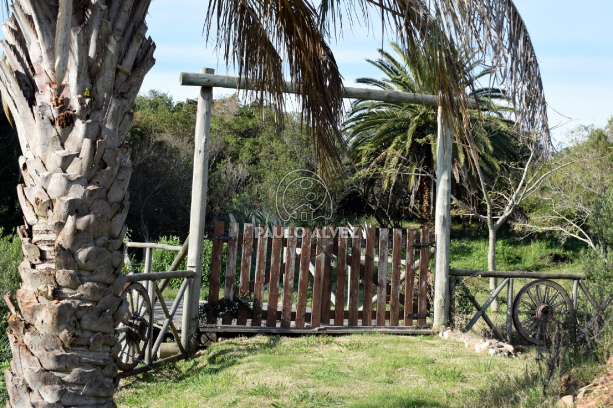 Las Flores - GoPunta - Portal Inmobiliario de Punta del Este - Maldonado