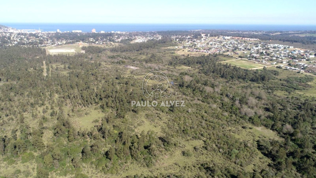 Piriápolis - GoPunta - Portal Inmobiliario de Punta del Este - Maldonado