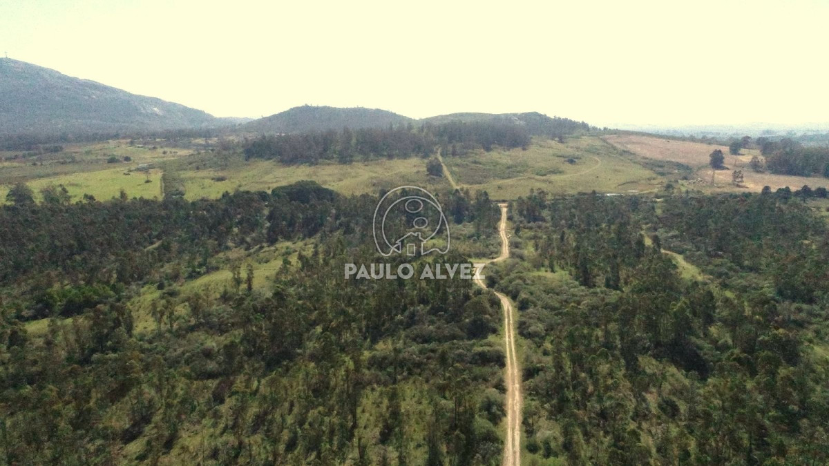 Piriápolis - GoPunta - Portal Inmobiliario de Punta del Este - Maldonado