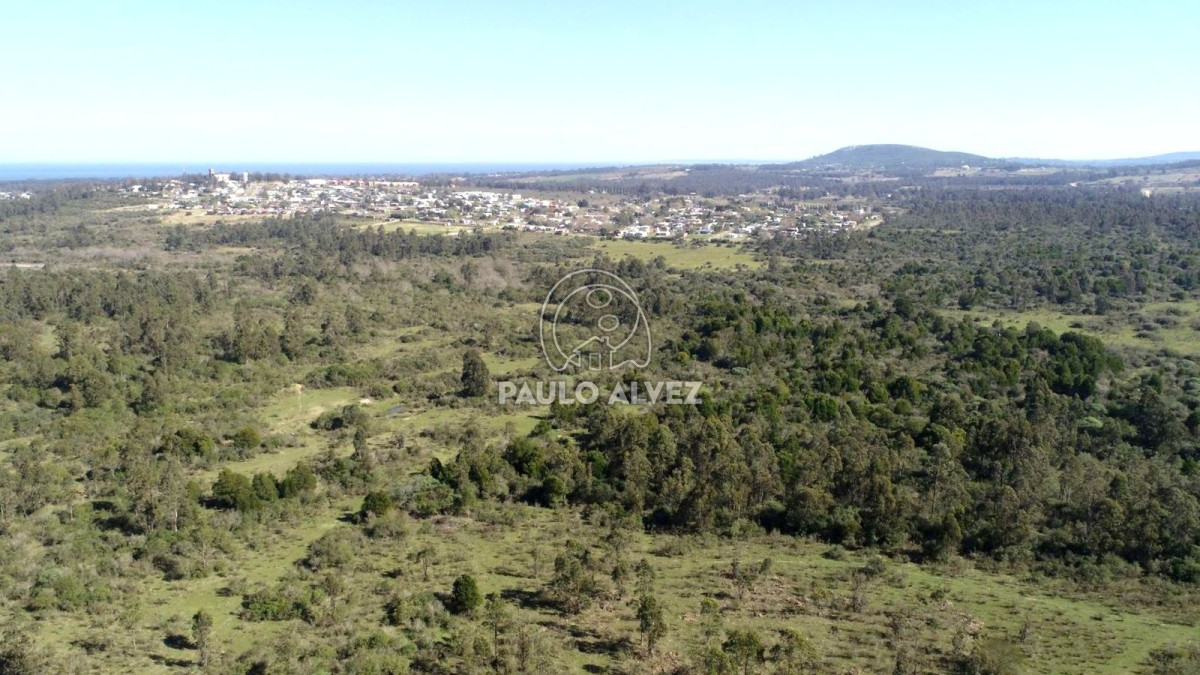 Piriápolis - GoPunta - Portal Inmobiliario de Punta del Este - Maldonado