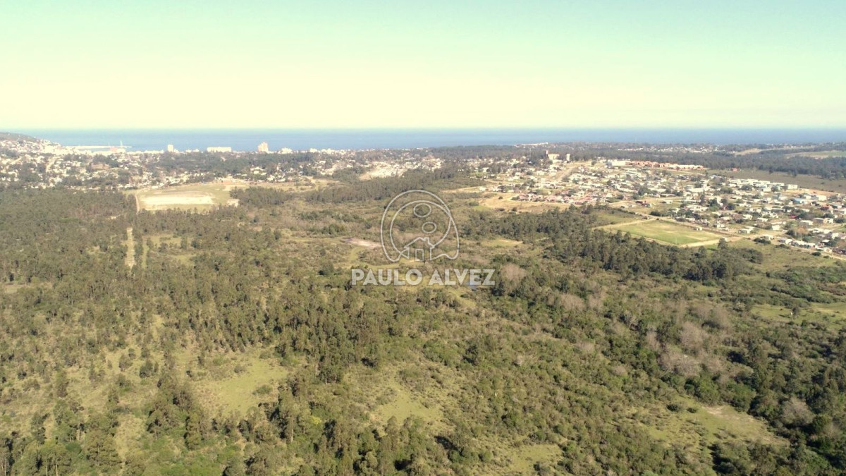 Piriápolis - GoPunta - Portal Inmobiliario de Punta del Este - Maldonado