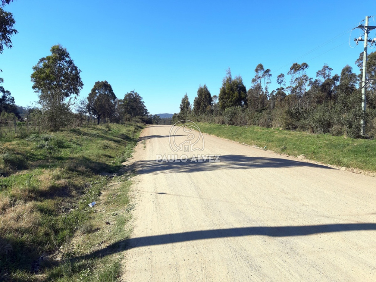 Piriápolis - GoPunta - Portal Inmobiliario de Punta del Este - Maldonado