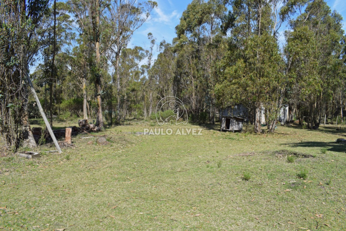 Piriápolis - GoPunta - Portal Inmobiliario de Punta del Este - Maldonado