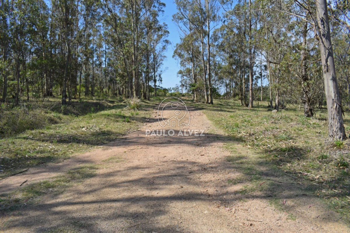 Piriápolis - GoPunta - Portal Inmobiliario de Punta del Este - Maldonado