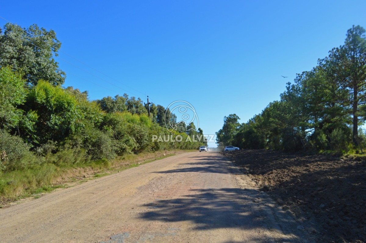 Punta Colorada - GoPunta - Portal Inmobiliario de Punta del Este - Maldonado