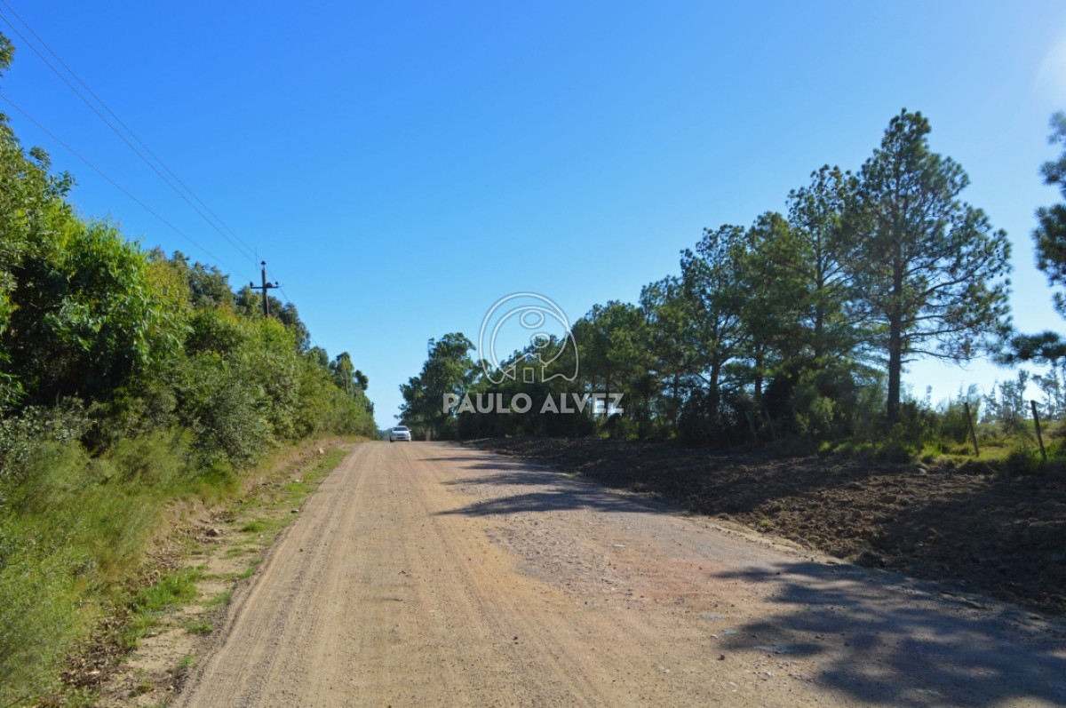 Punta Colorada - GoPunta - Portal Inmobiliario de Punta del Este - Maldonado