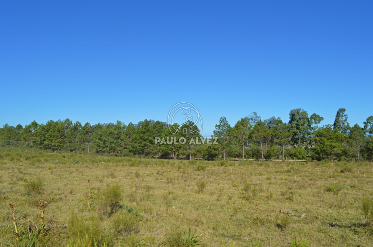 Punta Colorada - GoPunta - Portal Inmobiliario de Punta del Este - Maldonado