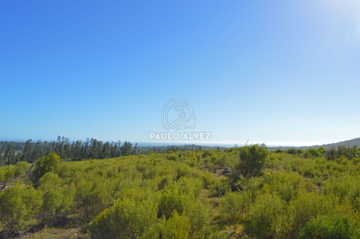Punta Colorada - GoPunta - Portal Inmobiliario de Punta del Este - Maldonado