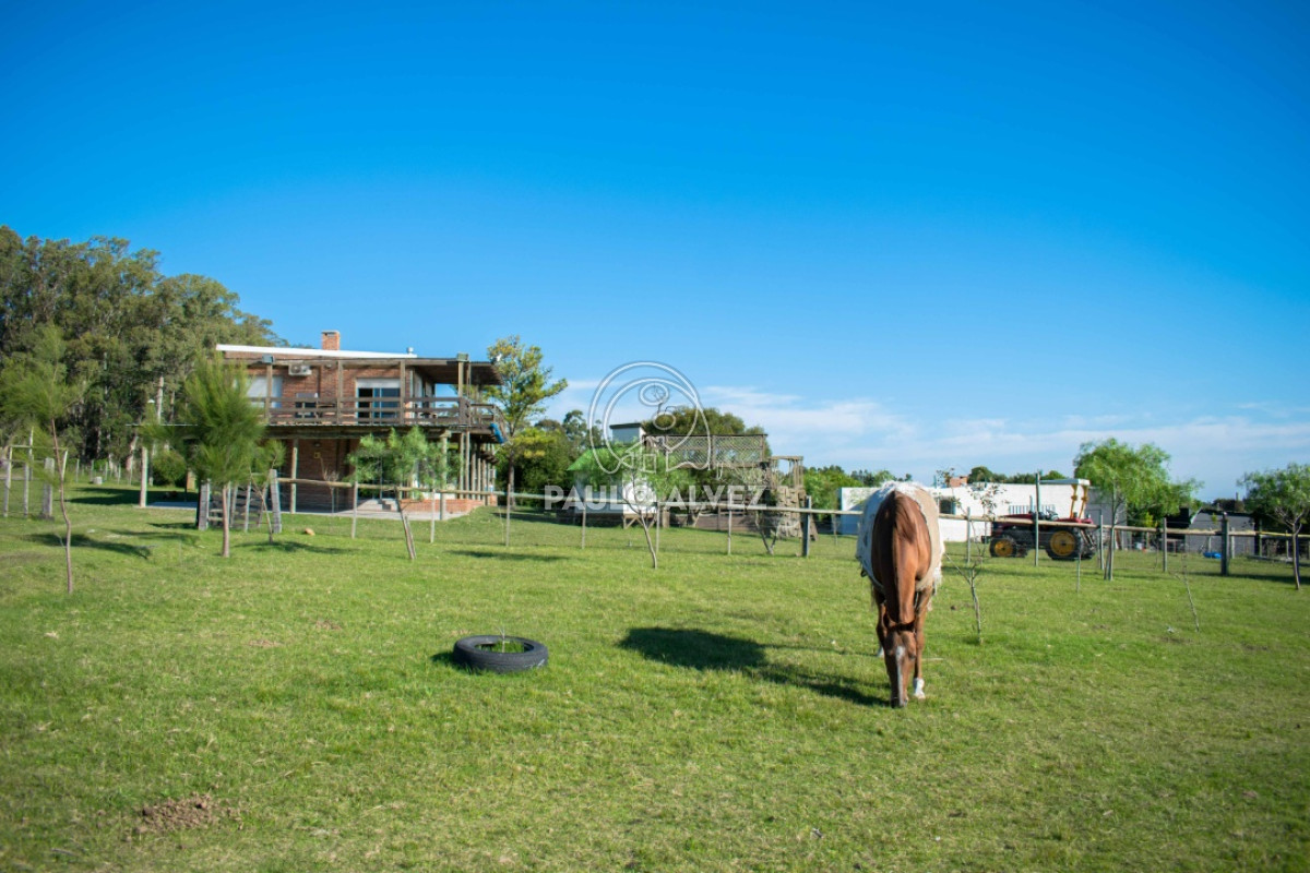 Las Flores - GoPunta - Portal Inmobiliario de Punta del Este - Maldonado