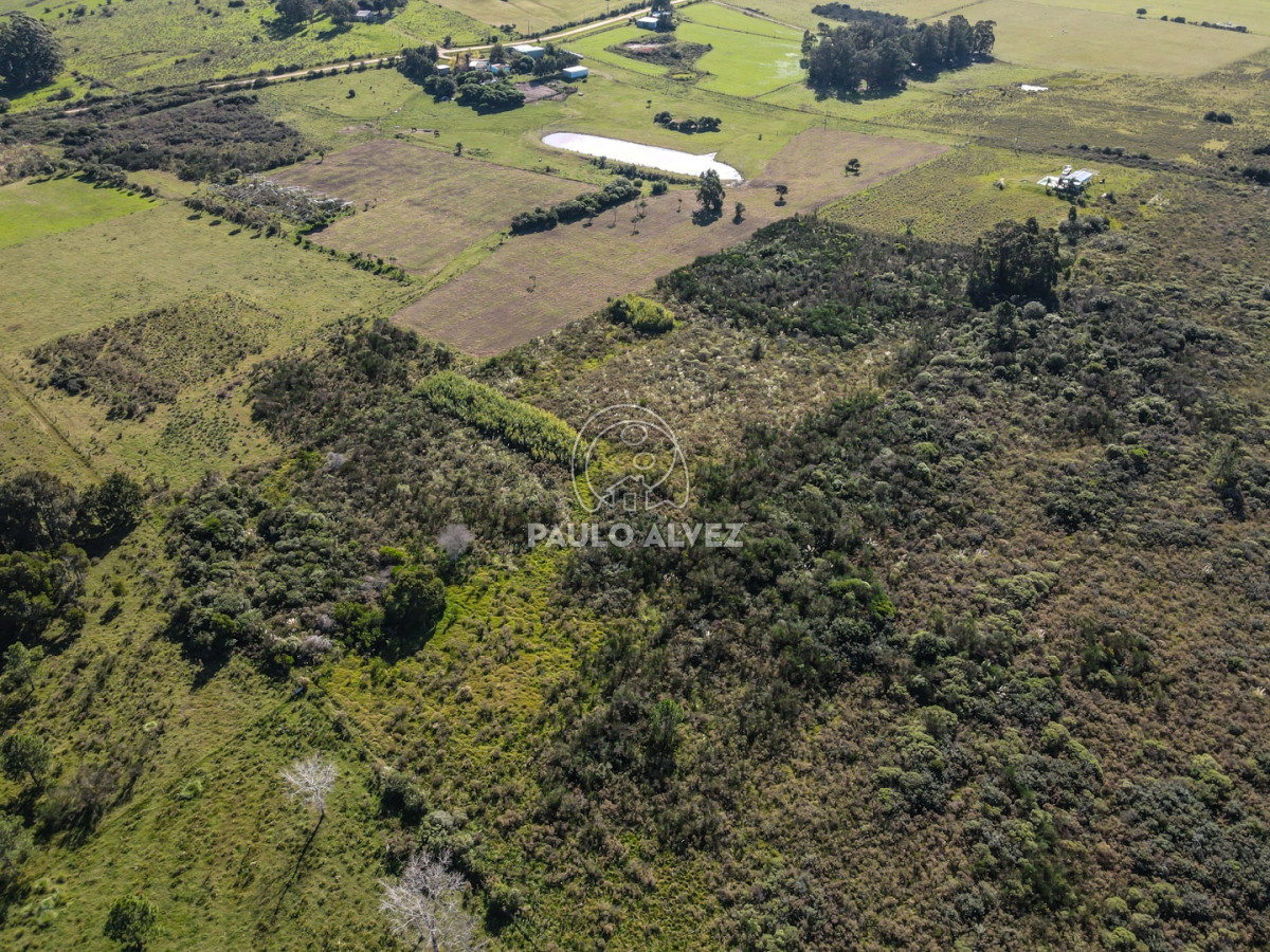 Punta Negra - GoPunta - Portal Inmobiliario de Punta del Este - Maldonado
