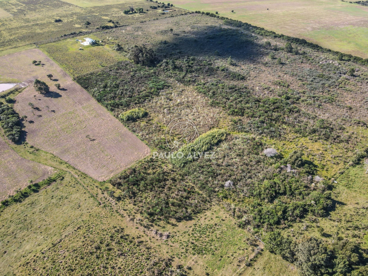 Punta Negra - GoPunta - Portal Inmobiliario de Punta del Este - Maldonado