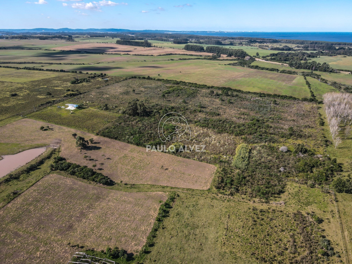 Punta Negra - GoPunta - Portal Inmobiliario de Punta del Este - Maldonado