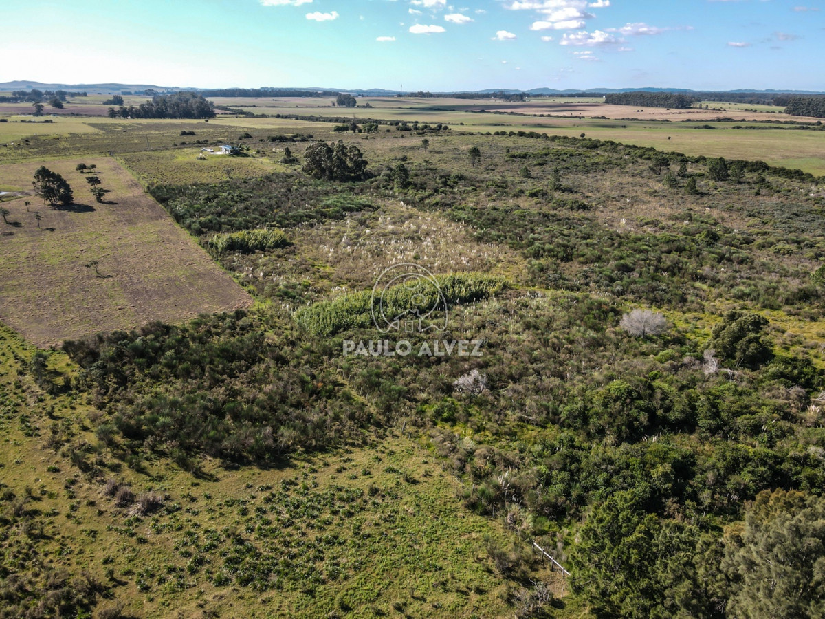 Punta Negra - GoPunta - Portal Inmobiliario de Punta del Este - Maldonado