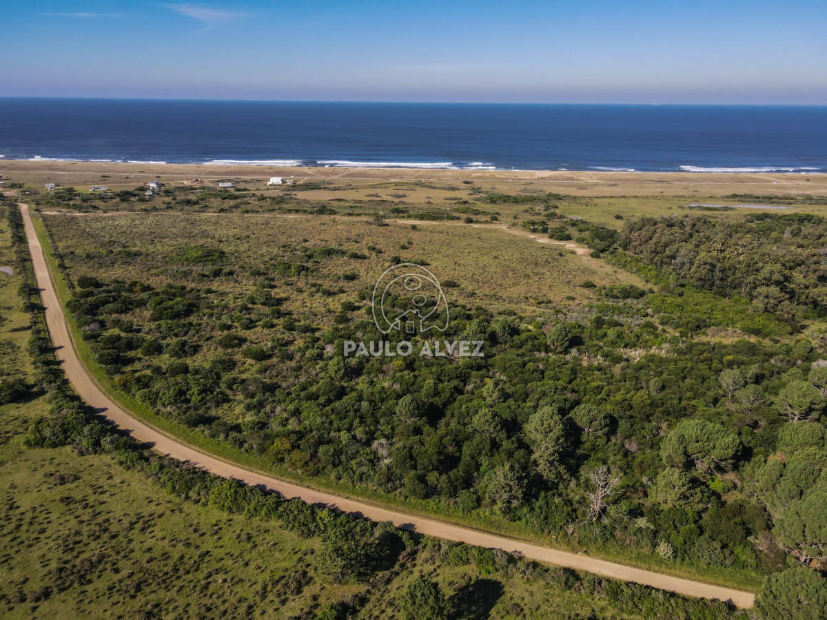 Punta Negra - GoPunta - Portal Inmobiliario de Punta del Este - Maldonado